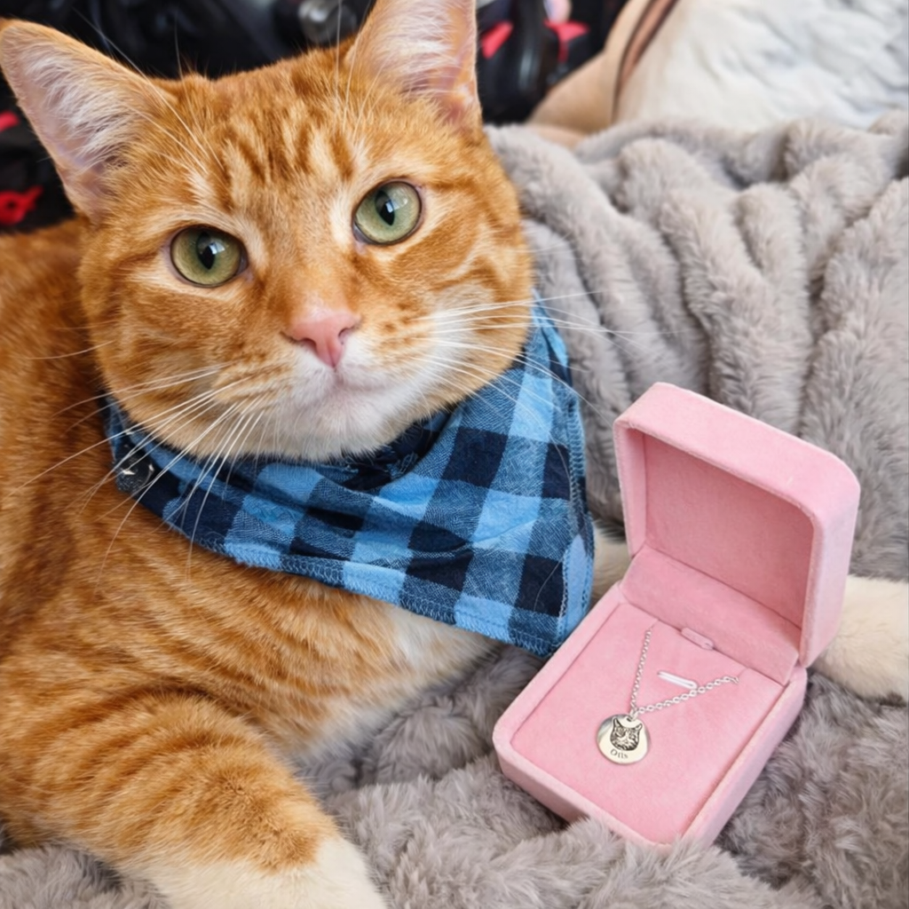 Pet Face Necklace Bundle