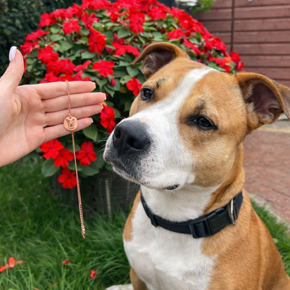 Pet Face Necklace Bundle
