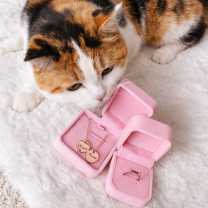 Pet Face Necklace Bundle