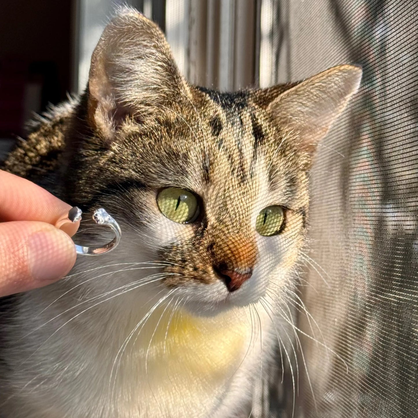 Paw Hug Ring - Faie Jewels