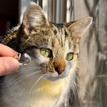 Paw Hug Ring - Faie Jewels